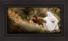 Load image into Gallery viewer, The Comforter
