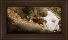 Load image into Gallery viewer, The Comforter
