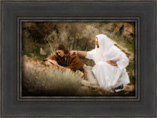Load image into Gallery viewer, The Comforter
