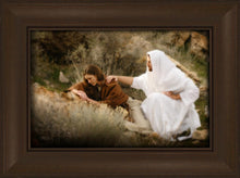 Load image into Gallery viewer, The Comforter
