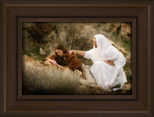 Load image into Gallery viewer, The Comforter
