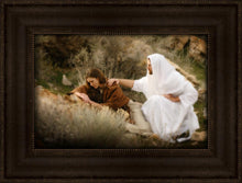 Load image into Gallery viewer, The Comforter

