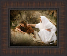 Load image into Gallery viewer, The Comforter
