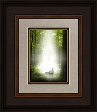 Load image into Gallery viewer, Oh How Lovely Was The Morning
