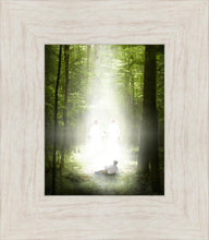 Load image into Gallery viewer, Oh How Lovely Was The Morning
