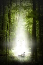 Load image into Gallery viewer, Oh How Lovely Was The Morning
