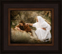 Load image into Gallery viewer, The Comforter
