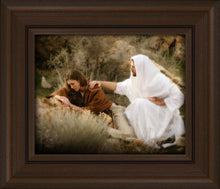 Load image into Gallery viewer, The Comforter
