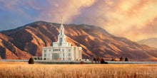 Load image into Gallery viewer, Payson Ready ForThe Harvest
