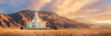 Load image into Gallery viewer, Payson Ready ForThe Harvest
