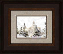 Load image into Gallery viewer, Payson Heavenly Peace
