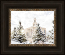 Load image into Gallery viewer, Payson Heavenly Peace

