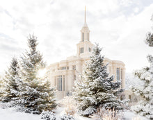 Load image into Gallery viewer, Payson Heavenly Peace
