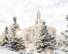 Load image into Gallery viewer, Payson Heavenly Peace
