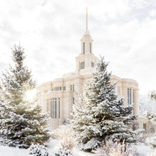 Load image into Gallery viewer, Payson Heavenly Peace
