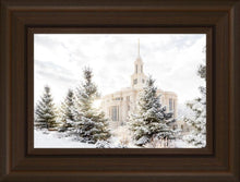Load image into Gallery viewer, Payson Heavenly Peace
