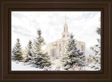 Load image into Gallery viewer, Payson Heavenly Peace
