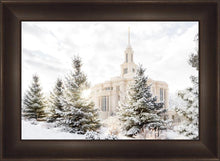 Load image into Gallery viewer, Payson Heavenly Peace
