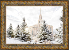 Load image into Gallery viewer, Payson Heavenly Peace
