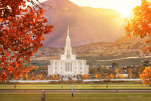 Load image into Gallery viewer, Payson Temple Seeking Light And Knowledge
