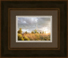 Load image into Gallery viewer, Payson Sunflowers
