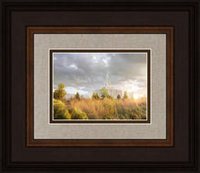 Load image into Gallery viewer, Payson Sunflowers
