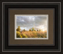 Load image into Gallery viewer, Payson Sunflowers
