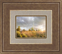 Load image into Gallery viewer, Payson Sunflowers
