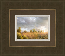Load image into Gallery viewer, Payson Sunflowers
