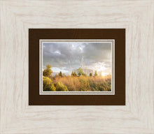 Load image into Gallery viewer, Payson Sunflowers
