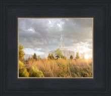 Load image into Gallery viewer, Payson Sunflowers
