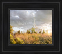 Load image into Gallery viewer, Payson Sunflowers
