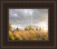 Load image into Gallery viewer, Payson Sunflowers
