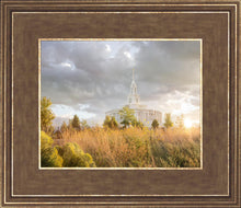 Load image into Gallery viewer, Payson Sunflowers
