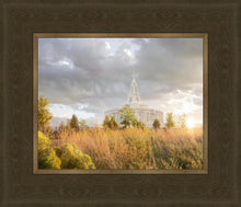 Load image into Gallery viewer, Payson Sunflowers
