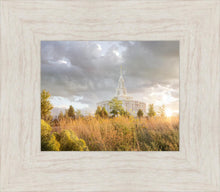 Load image into Gallery viewer, Payson Sunflowers
