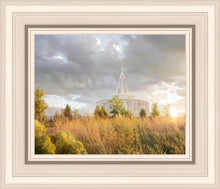 Load image into Gallery viewer, Payson Sunflowers
