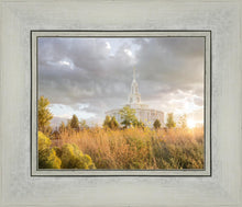 Load image into Gallery viewer, Payson Sunflowers
