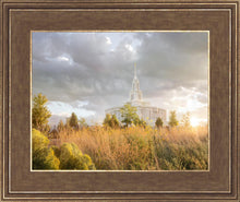Load image into Gallery viewer, Payson Sunflowers
