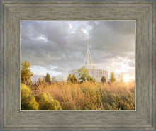 Load image into Gallery viewer, Payson Sunflowers
