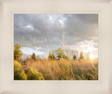 Load image into Gallery viewer, Payson Sunflowers

