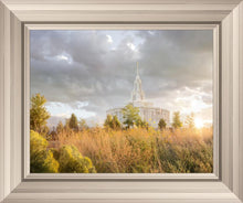 Load image into Gallery viewer, Payson Sunflowers
