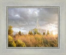 Load image into Gallery viewer, Payson Sunflowers
