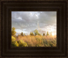 Load image into Gallery viewer, Payson Sunflowers

