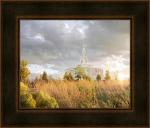 Load image into Gallery viewer, Payson Sunflowers
