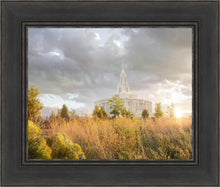 Load image into Gallery viewer, Payson Sunflowers

