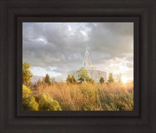 Load image into Gallery viewer, Payson Sunflowers

