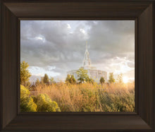 Load image into Gallery viewer, Payson Sunflowers
