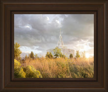 Load image into Gallery viewer, Payson Sunflowers
