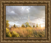 Load image into Gallery viewer, Payson Sunflowers
